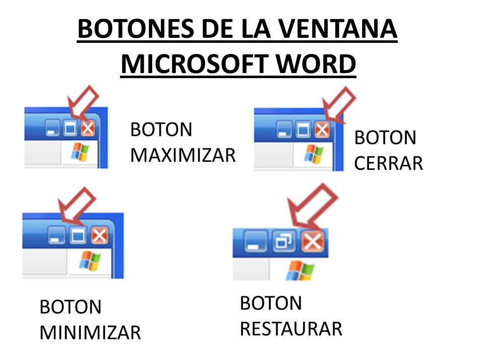 Microsoft Word Cómo Utilizar El Procesador De Texto De Microsoft Microsoft Word 9603